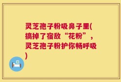 灵芝孢子粉吸鼻子里(搞掉了宿敌“花粉”，灵芝孢子粉护你畅呼吸)