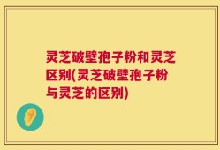 灵芝破壁孢子粉和灵芝区别(灵芝破壁孢子粉与灵芝的区别)
