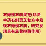 石橄榄石斛灵芝(珍贵中药石斛灵芝复方中发现石橄榄石斛，研究发现具有显著抑菌作用)