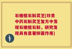 石橄榄石斛灵芝(珍贵中药石斛灵芝复方中发现石橄榄石斛，研究发现具有显著抑菌作用)
