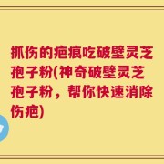 抓伤的疤痕吃破壁灵芝孢子粉(神奇破壁灵芝孢子粉，帮你快速消除伤疤)