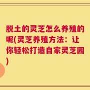 脱土的灵芝怎么养殖的呢(灵芝养殖方法：让你轻松打造自家灵芝园)