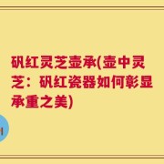 矾红灵芝壶承(壶中灵芝：矾红瓷器如何彰显承重之美)