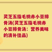 灵芝五指毛桃赤小豆排骨汤(灵芝五指毛桃赤小豆排骨汤：营养美味的清补佳品)