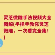 灵芝微雕手法视频大全图解(手把手教你灵芝微雕，一次看完全集！)