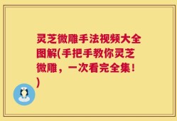 灵芝微雕手法视频大全图解(手把手教你灵芝微雕，一次看完全集！)