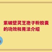 紫破壁灵芝孢子粉胶囊的功效和用法介绍