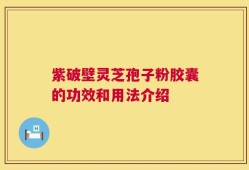 紫破壁灵芝孢子粉胶囊的功效和用法介绍