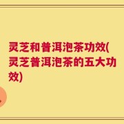 灵芝和普洱泡茶功效(灵芝普洱泡茶的五大功效)