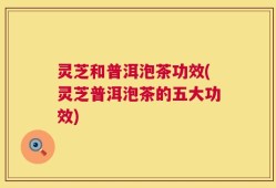 灵芝和普洱泡茶功效(灵芝普洱泡茶的五大功效)