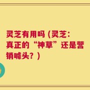 灵芝有用吗 (灵芝：真正的“神草”还是营销噱头？)