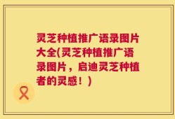 灵芝种植推广语录图片大全(灵芝种植推广语录图片，启迪灵芝种植者的灵感！)