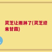 灵芝让雨淋了(灵芝迎来甘霖)