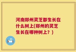 河南郑州灵芝都生长在什么树上(郑州的灵芝生长在哪种树上？)