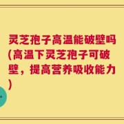 灵芝孢子高温能破壁吗(高温下灵芝孢子可破壁，提高营养吸收能力)