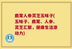 鹿茸人参灵芝五味子(五味子、鹿茸、人参、灵芝汇聚，健康生活添动力)