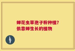 蝉花虫草孢子粉种植？依靠蝉生长的植物