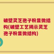 破壁灵芝孢子粉显微结构(破壁工艺揭示灵芝孢子粉显微结构)