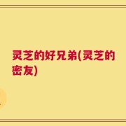 灵芝的好兄弟(灵芝的密友)