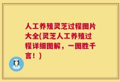 人工养殖灵芝过程图片大全(灵芝人工养殖过程详细图解，一图胜千言！)