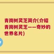青岗树灵芝简介(介绍青岗树灵芝——奇妙的世界名片)
