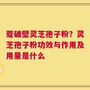 蔻破壁灵芝孢子粉？灵芝孢子粉功效与作用及用量是什么