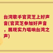 台湾歌手官灵芝上好声音(官灵芝参加好声音，展现实力唱响台湾之声)
