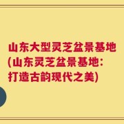 山东大型灵芝盆景基地(山东灵芝盆景基地：打造古韵现代之美)