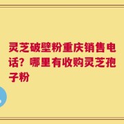灵芝破壁粉重庆销售电话？哪里有收购灵芝孢子粉
