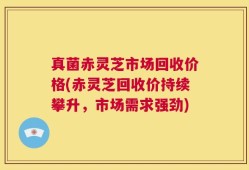 真菌赤灵芝市场回收价格(赤灵芝回收价持续攀升，市场需求强劲)