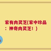 家有肉灵芝(家中珍品：神奇肉灵芝！)
