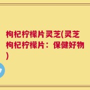 枸杞柠檬片灵芝(灵芝枸杞柠檬片：保健好物)