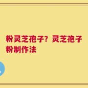 粉灵芝孢子？灵芝孢子粉制作法