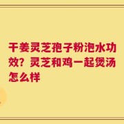 干姜灵芝孢子粉泡水功效？灵芝和鸡一起煲汤怎么样