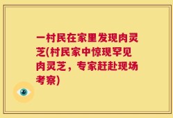 一村民在家里发现肉灵芝(村民家中惊现罕见肉灵芝，专家赶赴现场考察)