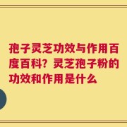 孢子灵芝功效与作用百度百科？灵芝孢子粉的功效和作用是什么