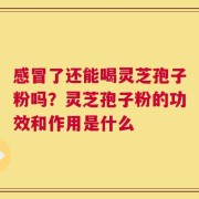 感冒了还能喝灵芝孢子粉吗？灵芝孢子粉的功效和作用是什么