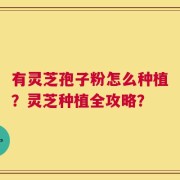 有灵芝孢子粉怎么种植？灵芝种植全攻略？