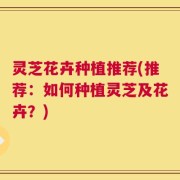 灵芝花卉种植推荐(推荐：如何种植灵芝及花卉？)