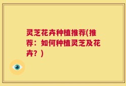 灵芝花卉种植推荐(推荐：如何种植灵芝及花卉？)