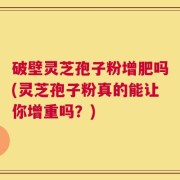 破壁灵芝孢子粉增肥吗(灵芝孢子粉真的能让你增重吗？)