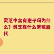 灵芝中含有孢子吗为什么？灵芝靠什么繁殖后代