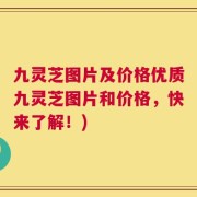 九灵芝图片及价格优质九灵芝图片和价格，快来了解！)