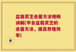 盆栽灵芝杀菌方法视频讲解(学会盆栽灵芝的杀菌方法，提高养殖效率)