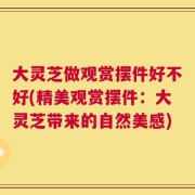 大灵芝做观赏摆件好不好(精美观赏摆件：大灵芝带来的自然美感)