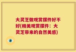 大灵芝做观赏摆件好不好(精美观赏摆件：大灵芝带来的自然美感)