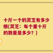 十斤一个的灵芝有多少根(灵芝：每个重十斤的数量是多少？)