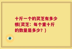十斤一个的灵芝有多少根(灵芝：每个重十斤的数量是多少？)