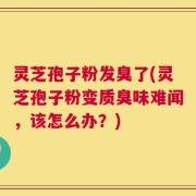 灵芝孢子粉发臭了(灵芝孢子粉变质臭味难闻，该怎么办？)