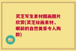 灵芝写生素材图画图片欣赏(灵芝绘画素材，眼前的自然美景令人陶醉)